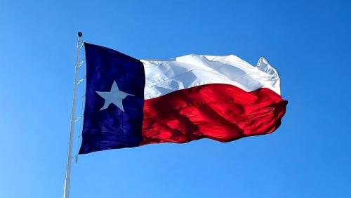Texas flag waving in the wind